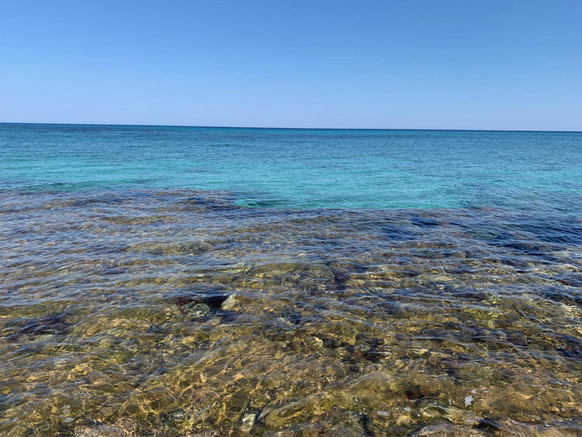 L'Oasi Una Pineta Sul Mare Кустоначи Екстериор снимка