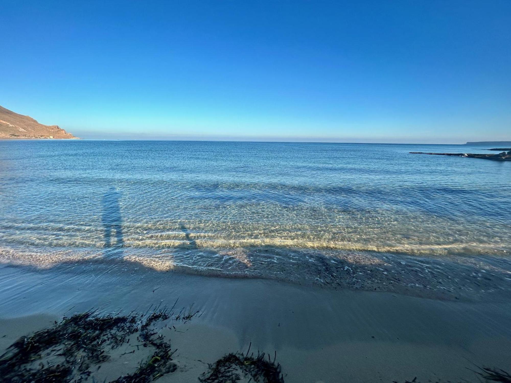 L'Oasi Una Pineta Sul Mare Кустоначи Екстериор снимка