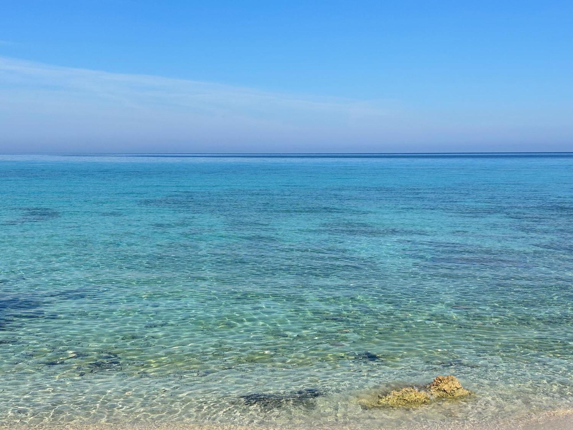 L'Oasi Una Pineta Sul Mare Кустоначи Екстериор снимка