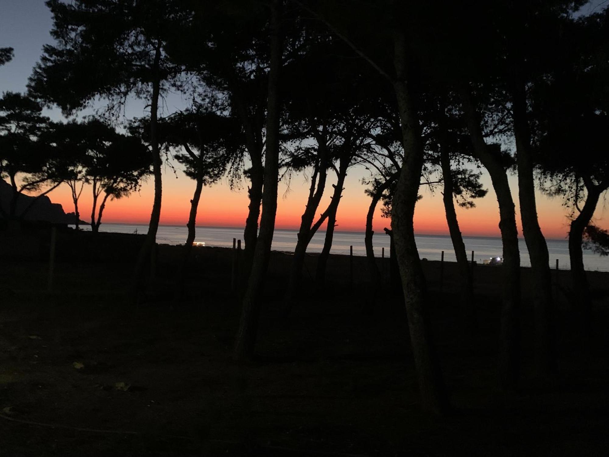 L'Oasi Una Pineta Sul Mare Кустоначи Екстериор снимка
