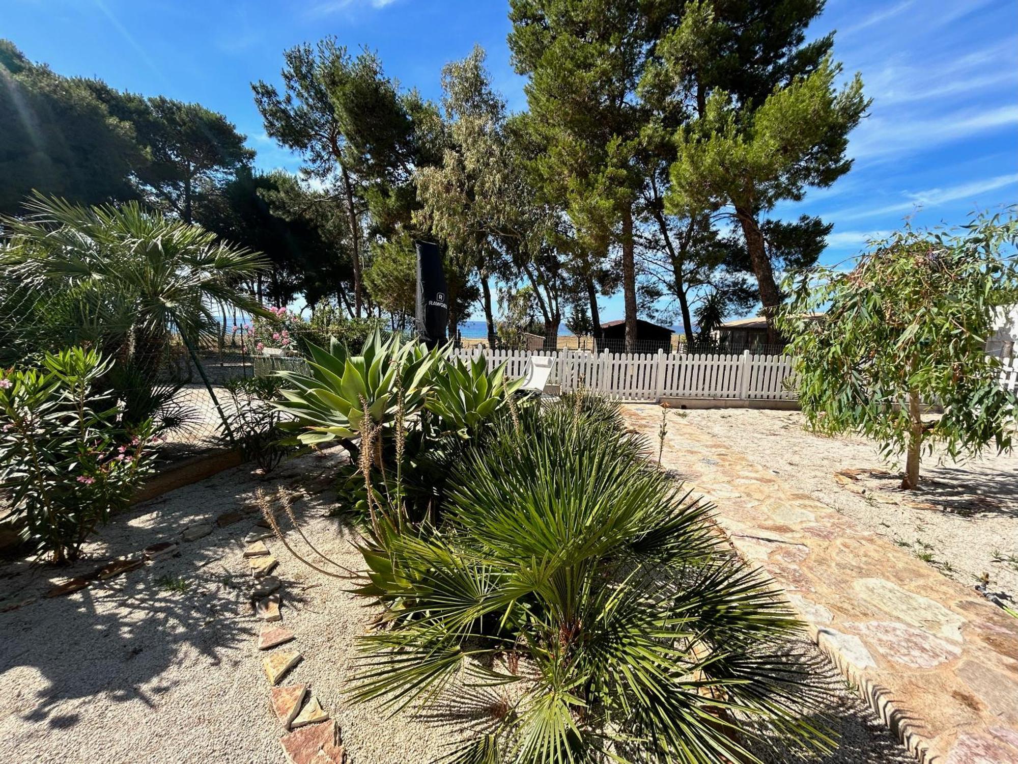 L'Oasi Una Pineta Sul Mare Кустоначи Екстериор снимка